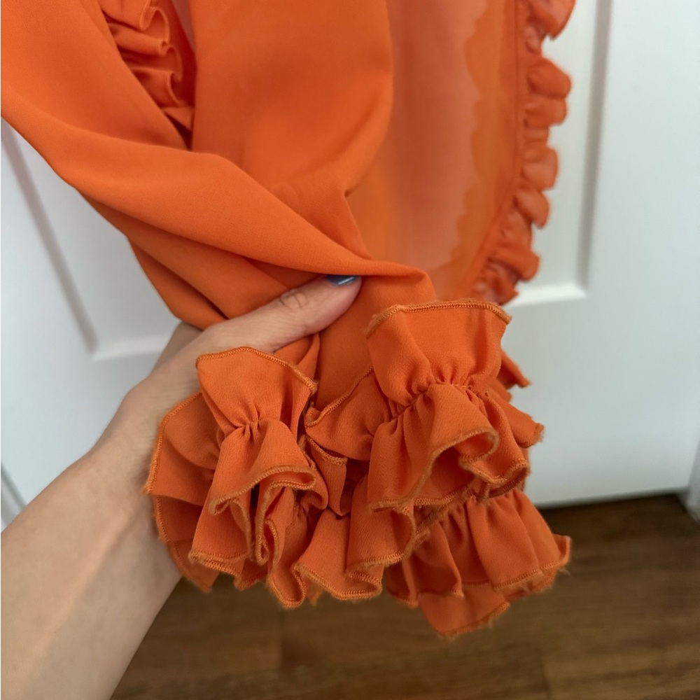 HELSA Sheer Ruffled Long Orange Dress - Picture 7 of 12